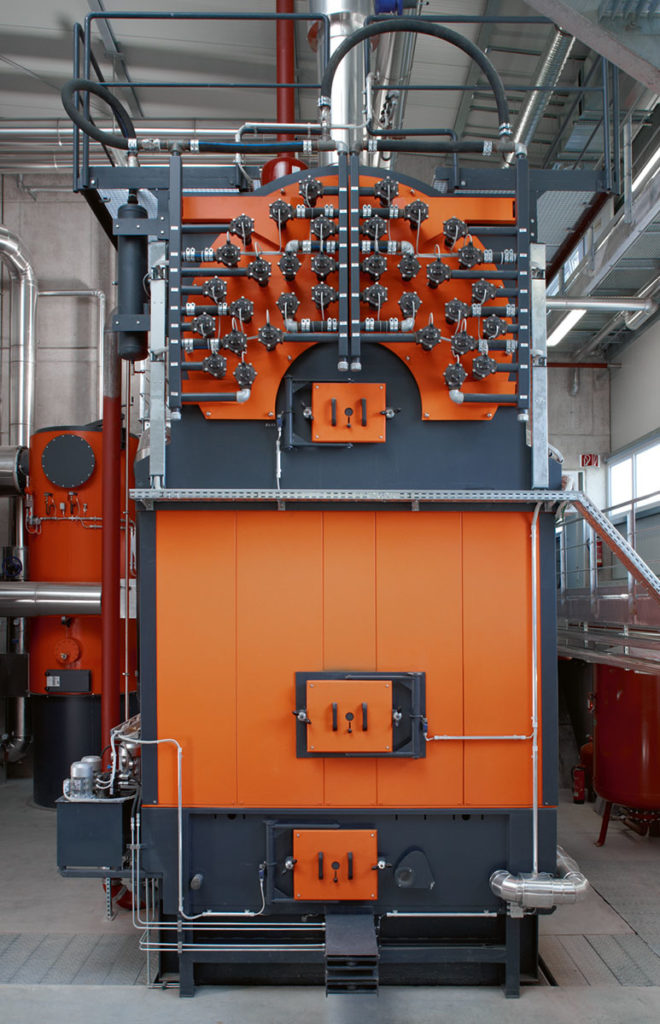 Biomass-fired boiler