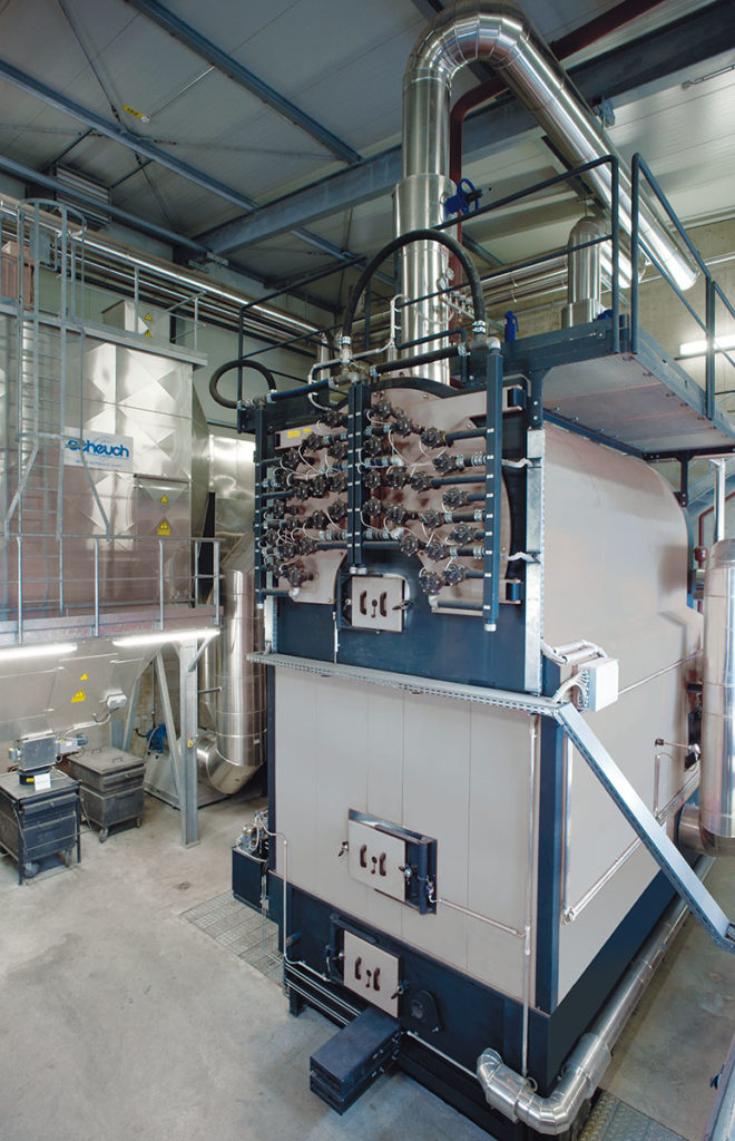 Biomass-fired boiler