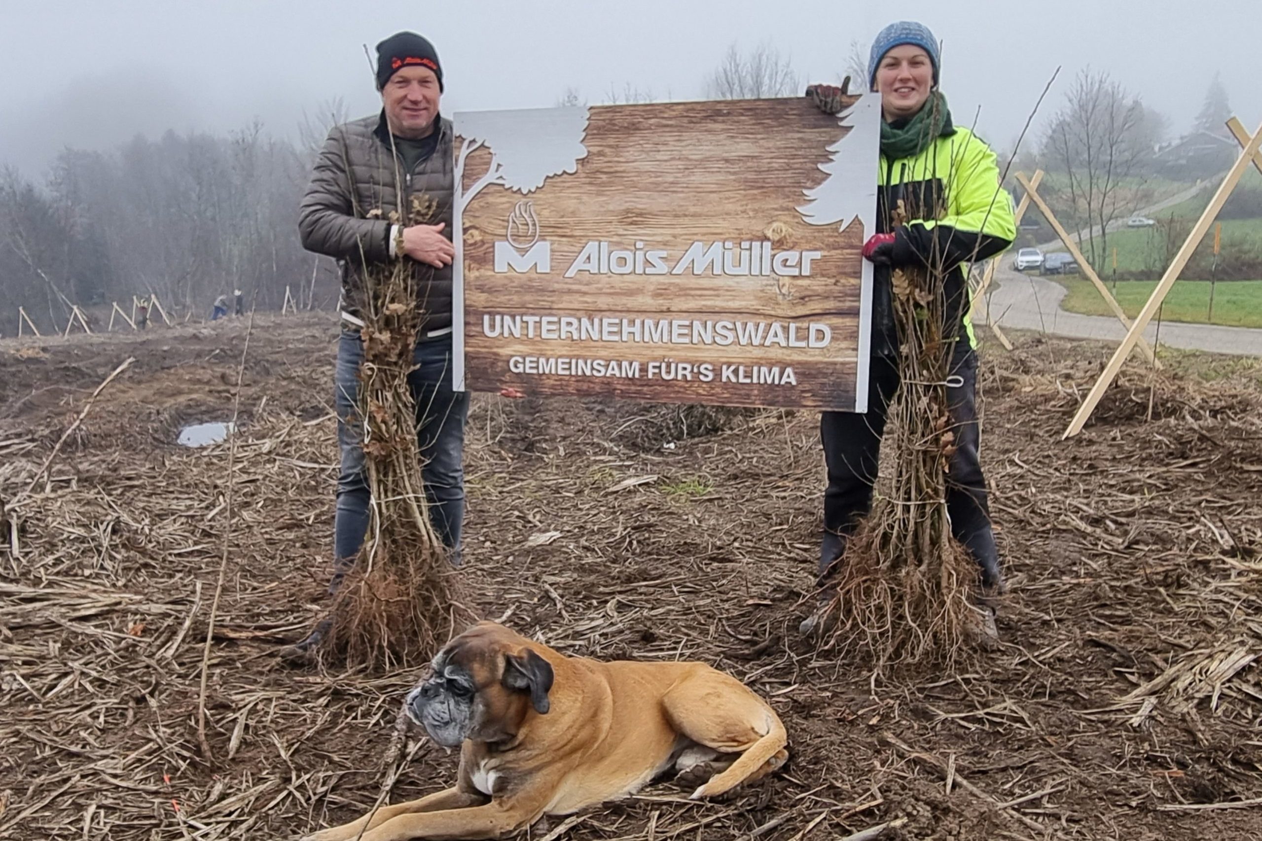 Baumpflanzaktion Baumpflanzaktion